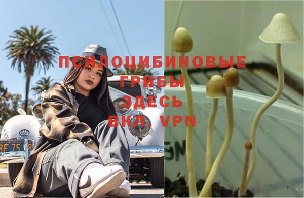 альфа пвп VHQ Алзамай