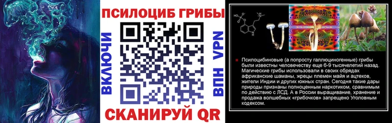 где купить наркоту  Брянск  Псилоцибиновые грибы мухоморы 